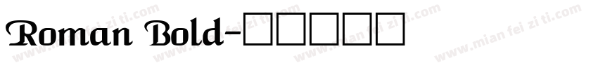 Roman Bold字体转换